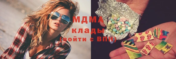 шишки Няндома