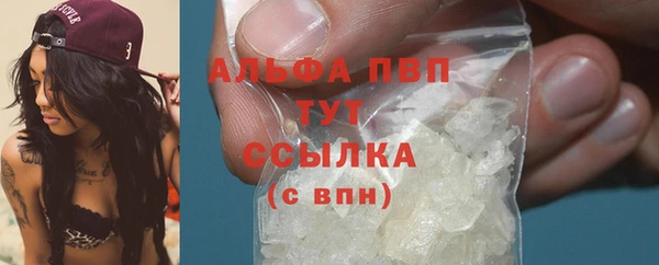 шишки Няндома