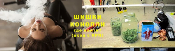 дурь Нягань