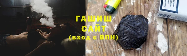 шишки Няндома