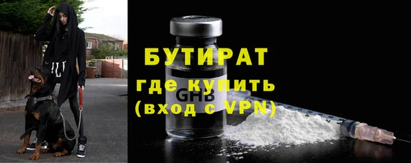 шишки Няндома