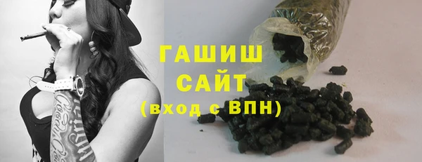 шишки Няндома