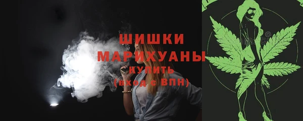 МДПВ Болотное