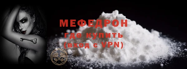 шишки Няндома