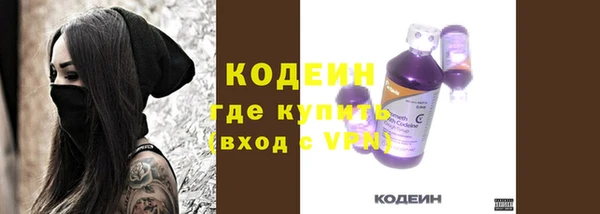 шишки Няндома