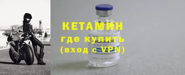 шишки Няндома