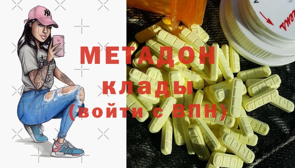 шишки Няндома
