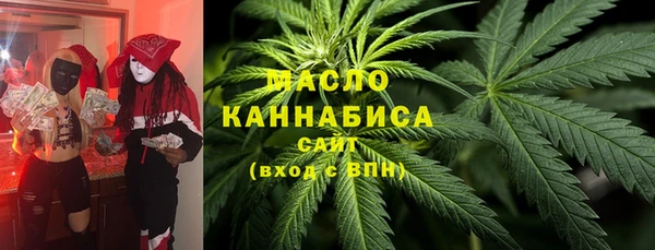 шишки Няндома