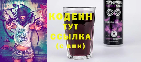шишки Няндома