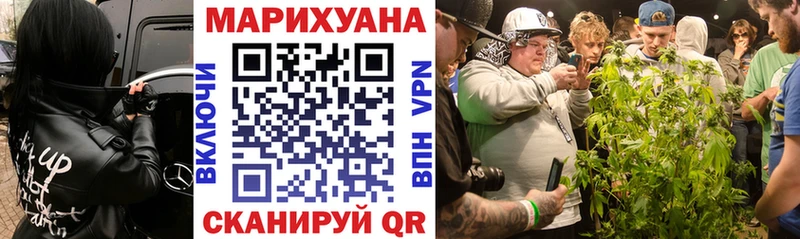 Каннабис сатива Сысерть